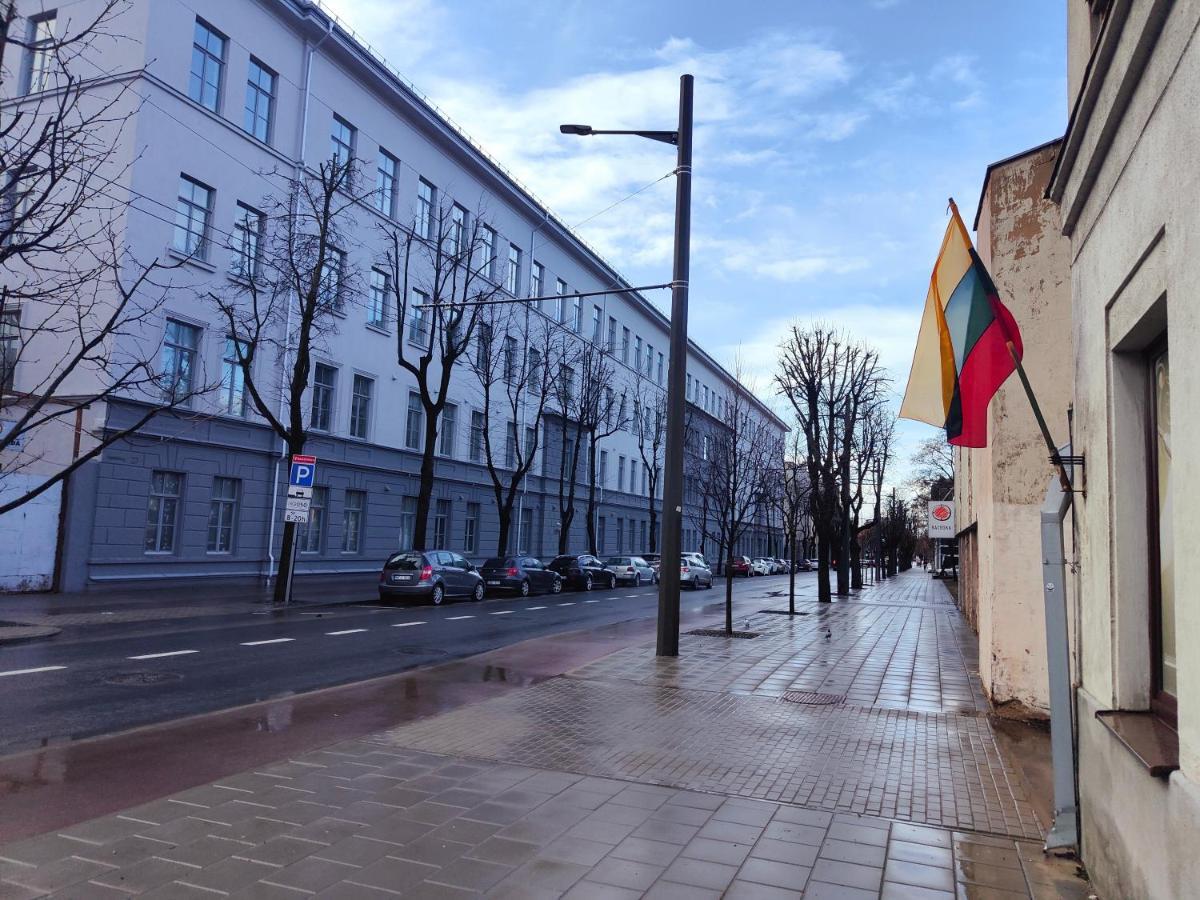 Owl Jazz Apartments - Luxury Apartments In The Heart Of The City Kaunas Luaran gambar